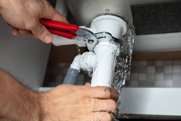Best Water damage restoration near me  in Alamo, CA