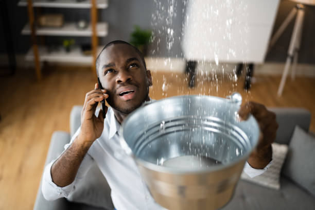 Best Water damage contractors near me  in Alamo, CA