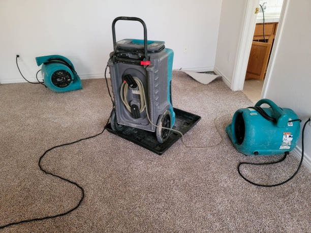 Best Water damage restoration near me  in Alamo, CA