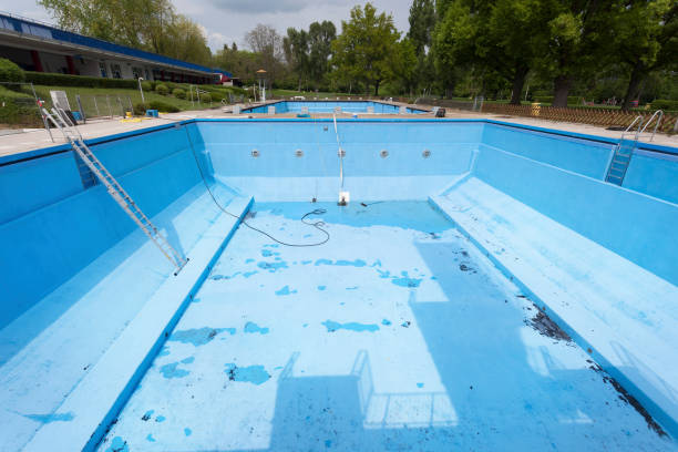 Best Basement water damage restoration  in Alamo, CA