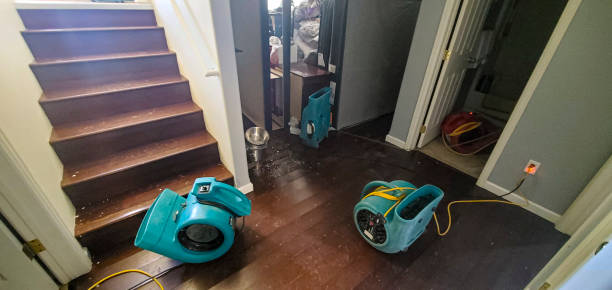 Best Water damage restoration near me  in Alamo, CA