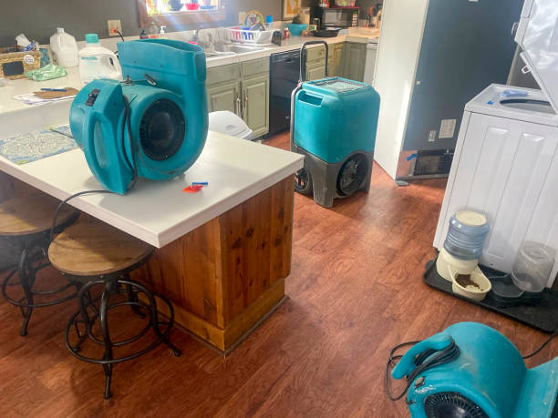 Best Water damage restoration experts  in Alamo, CA