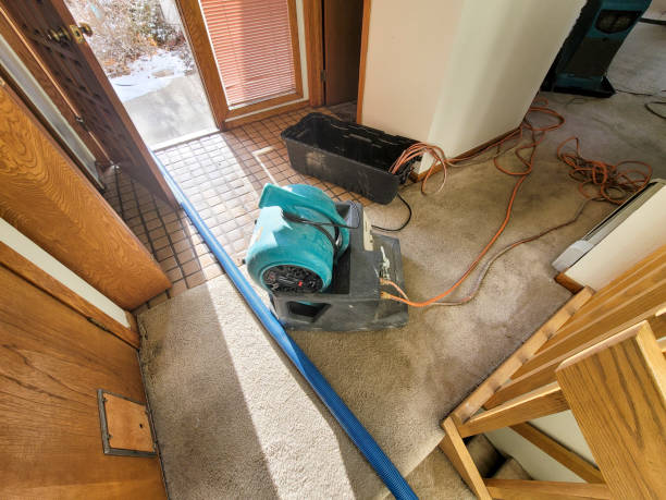 Best Carpet water damage restoration  in Alamo, CA