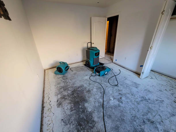 Best Sewage cleanup and water damage restoration  in Alamo, CA