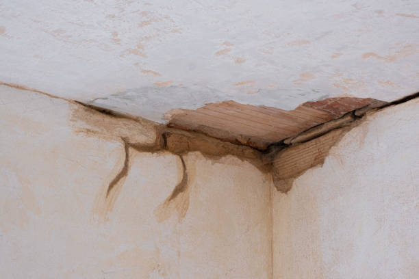 Best Basement water damage restoration  in Alamo, CA