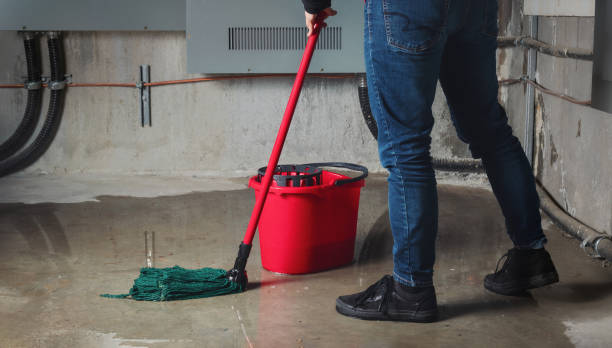 Best 24-hour water damage restoration  in Alamo, CA