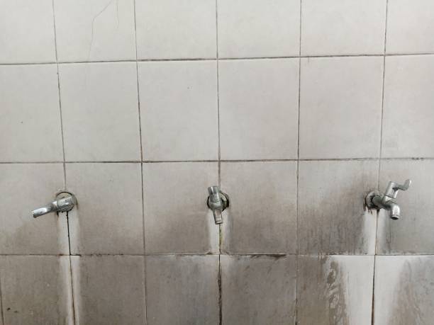 Best Mold removal after water damage  in Alamo, CA