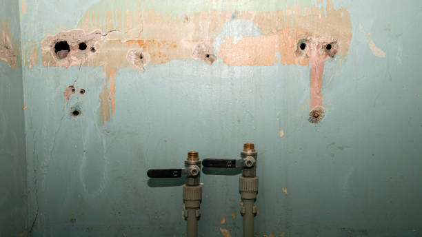 Best Local water damage restoration  in Alamo, CA