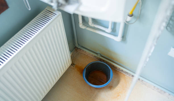 Best Water damage contractors near me  in Alamo, CA