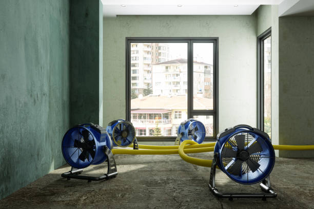 Best Flood damage cleanup  in Alamo, CA